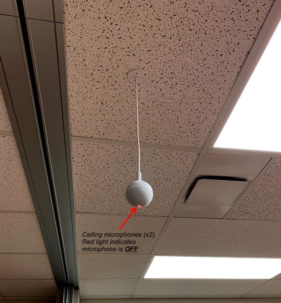 CeilingMics.jpg